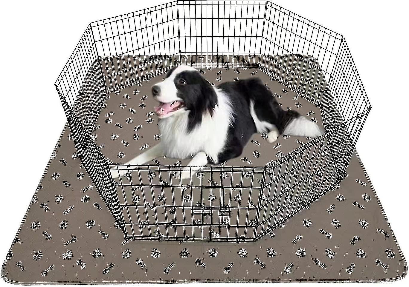 Large 72x72+ Free Dog Comb. Waterproof Rug Reusable Puppy Pads