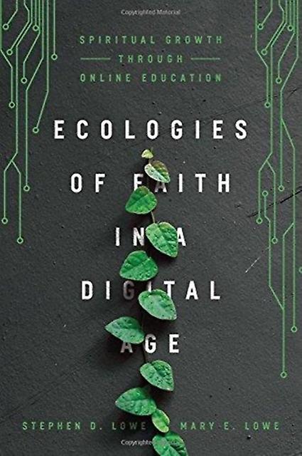 Ecologies Of Faith In A Digital Age Spiritual Growth Through Online Education by Stephen D. Lowe Paperback