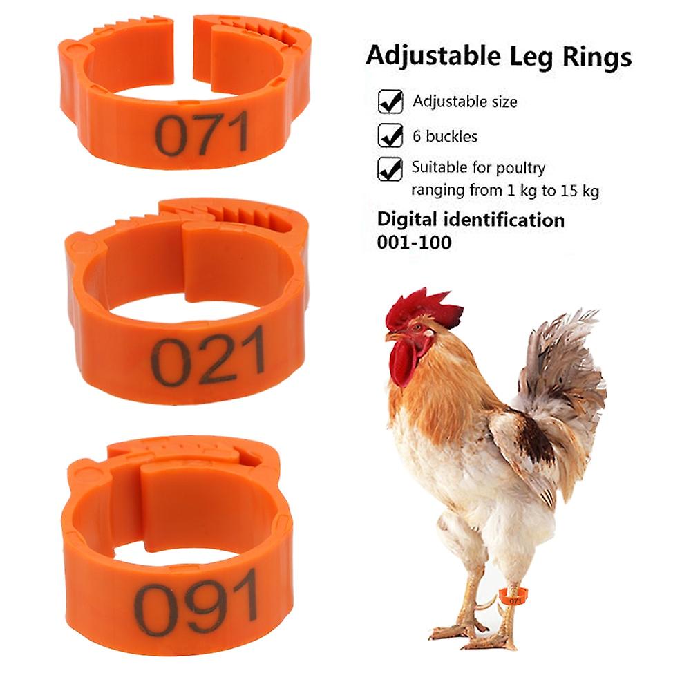 100Pcs/set Foot Ring For Chicken Duck Pigeon Adjustable Leg Digital Label