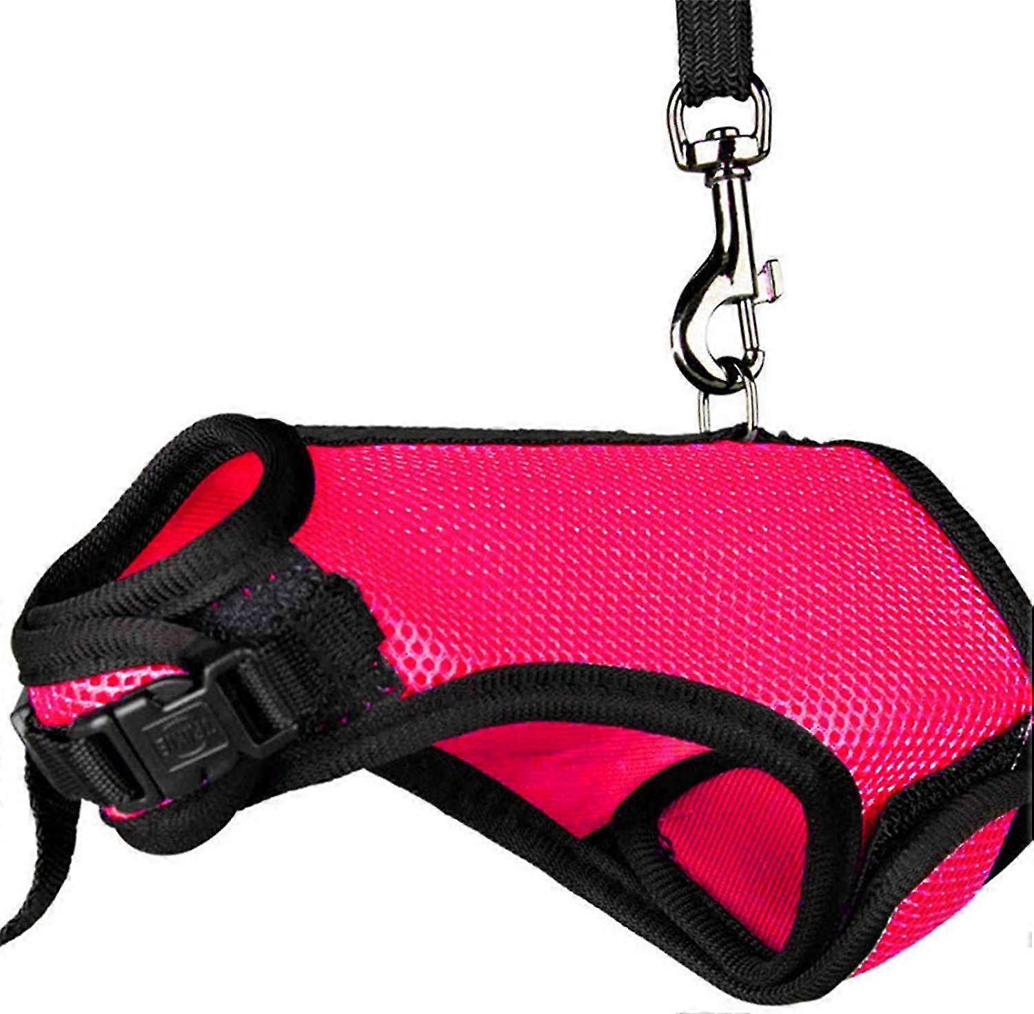 Harness And Leash Set For Rabbits And Small Kittens