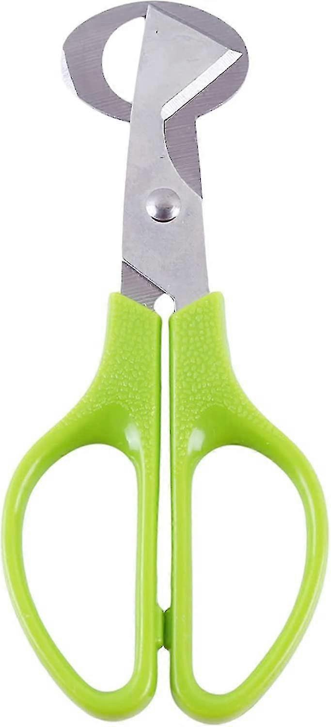 Stainless Steel Egg Scissors Quail Egg Open Tool Kitchen Egg Shears Tool(green) (5-e-0)