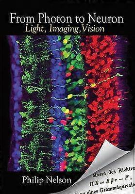 From Photon to Neuron - Light Imaging Vision