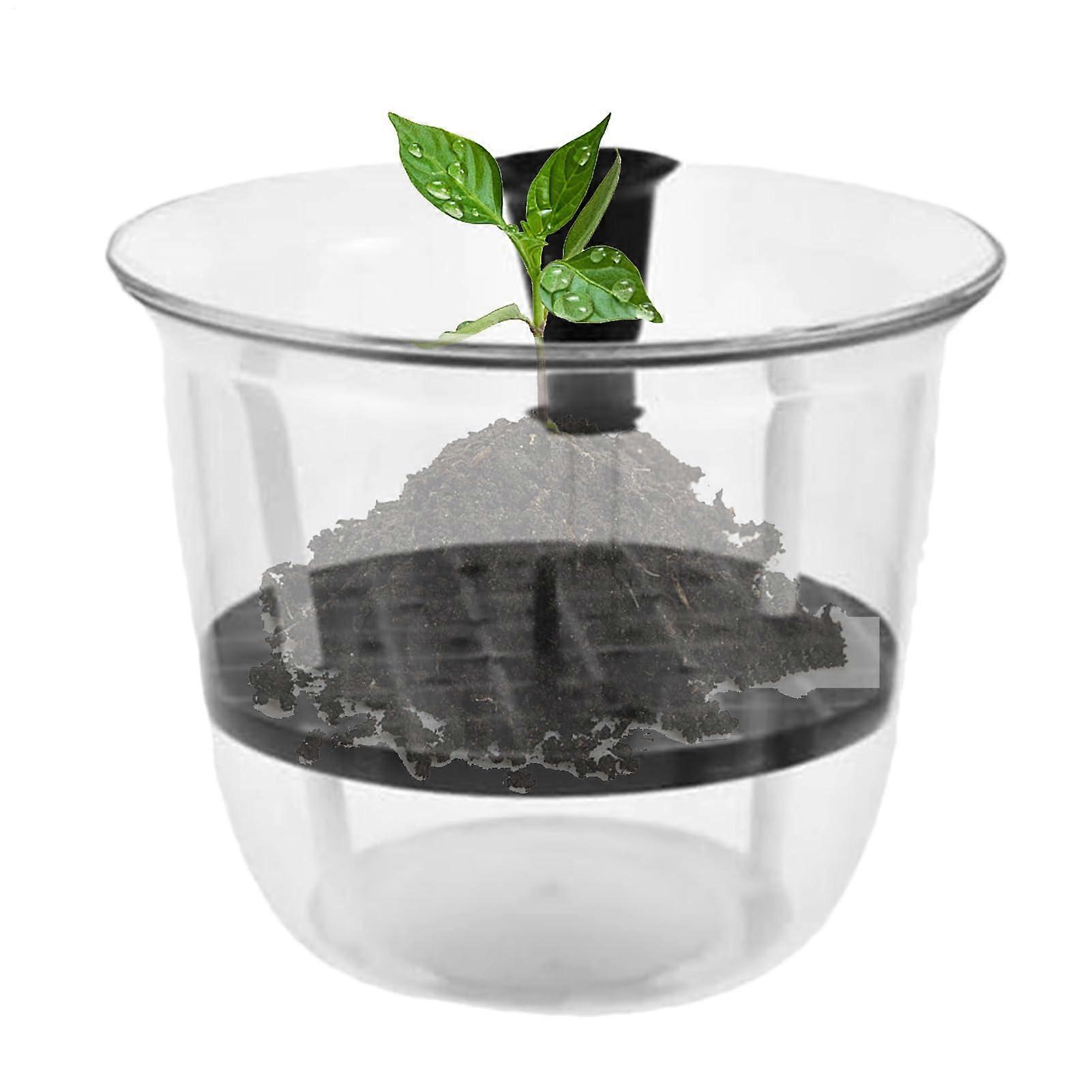 6cm Decorative Self-Watering Pot
