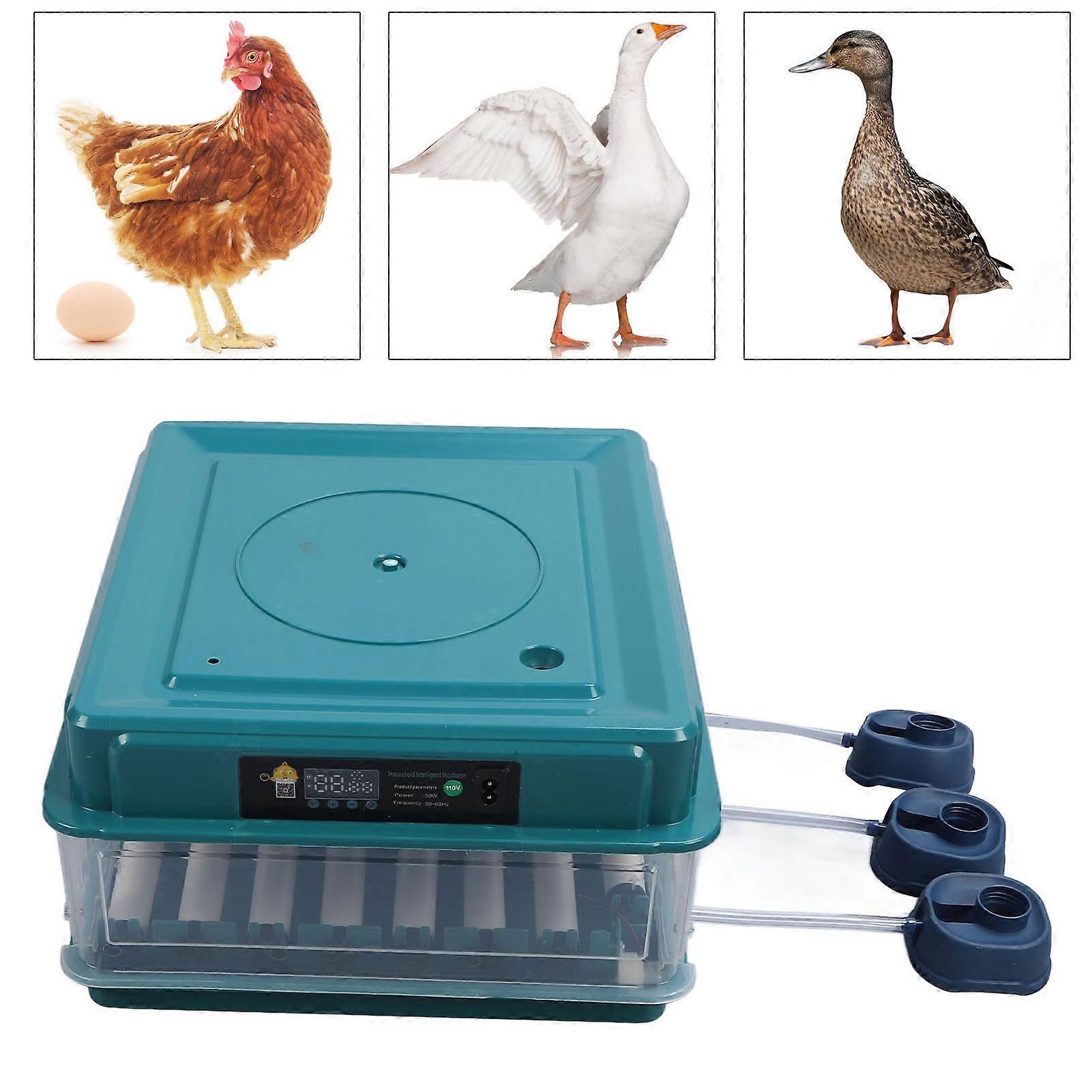 Incubator Green LED Automatic Water Turning Detachable Intelligent Egg Hatching Incubator US Plug 110V 48