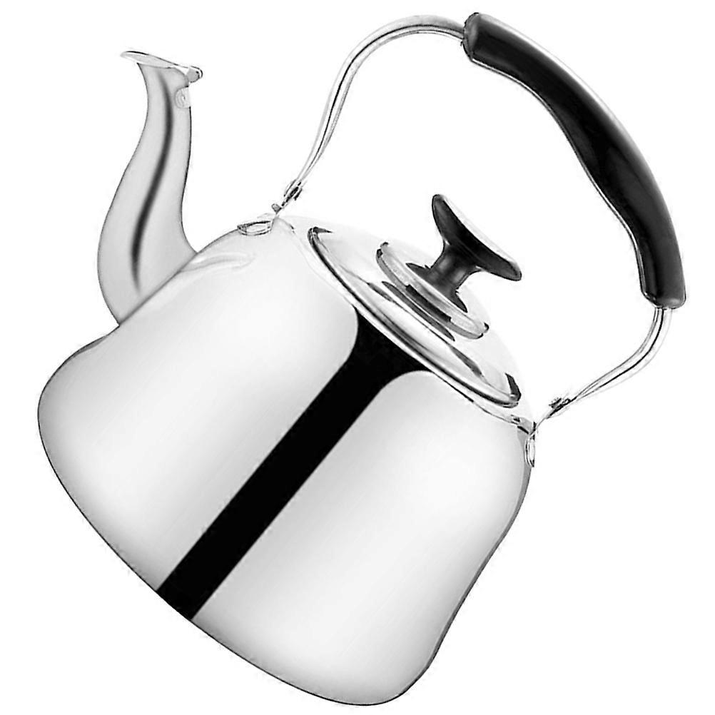 Heat Resistant Kettle with Tea Strainer in Silver for Home 1 Set
