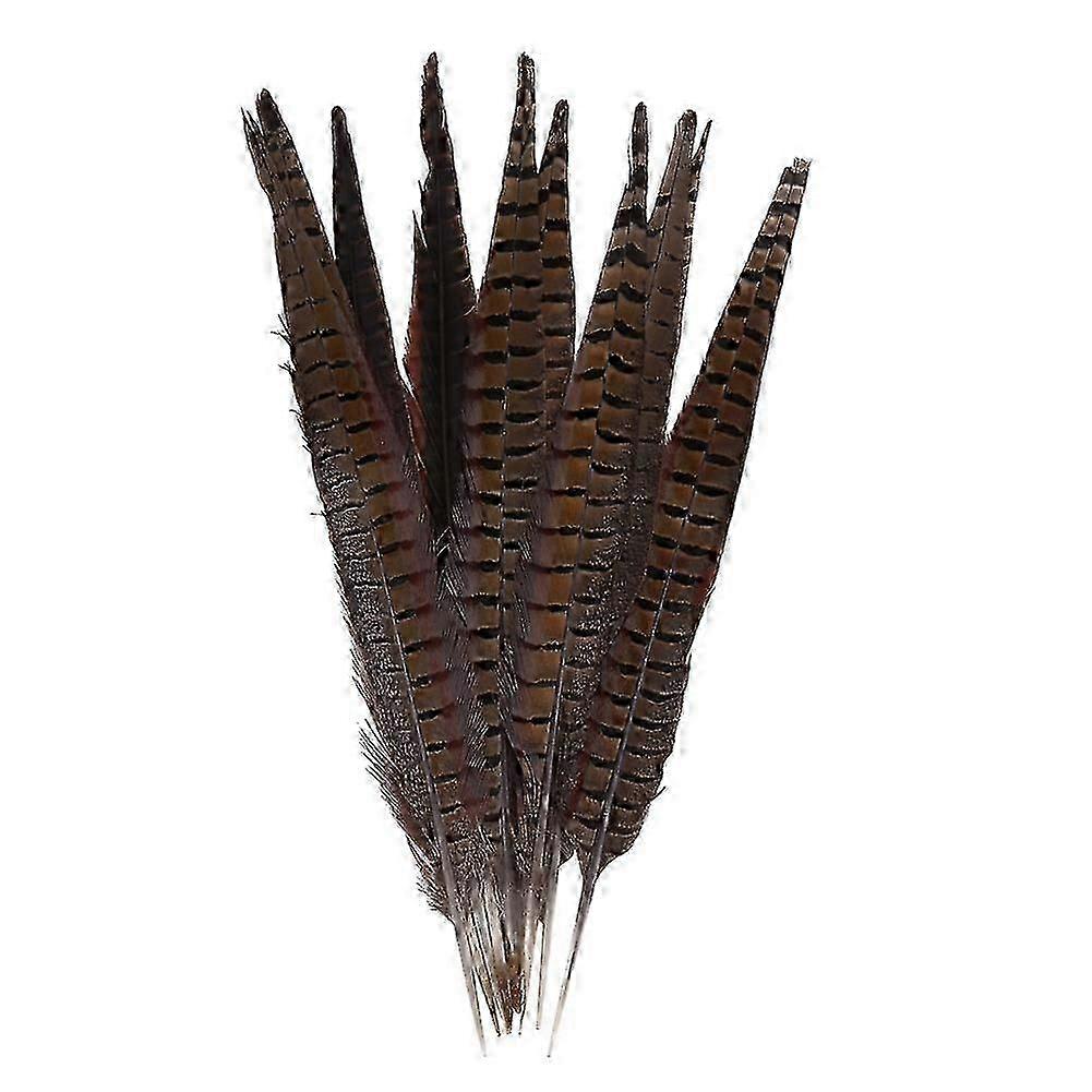 10Pcs Beautiful Natural Long Pheasant Tail Feathers for DIY Craft Decor 35-40cm