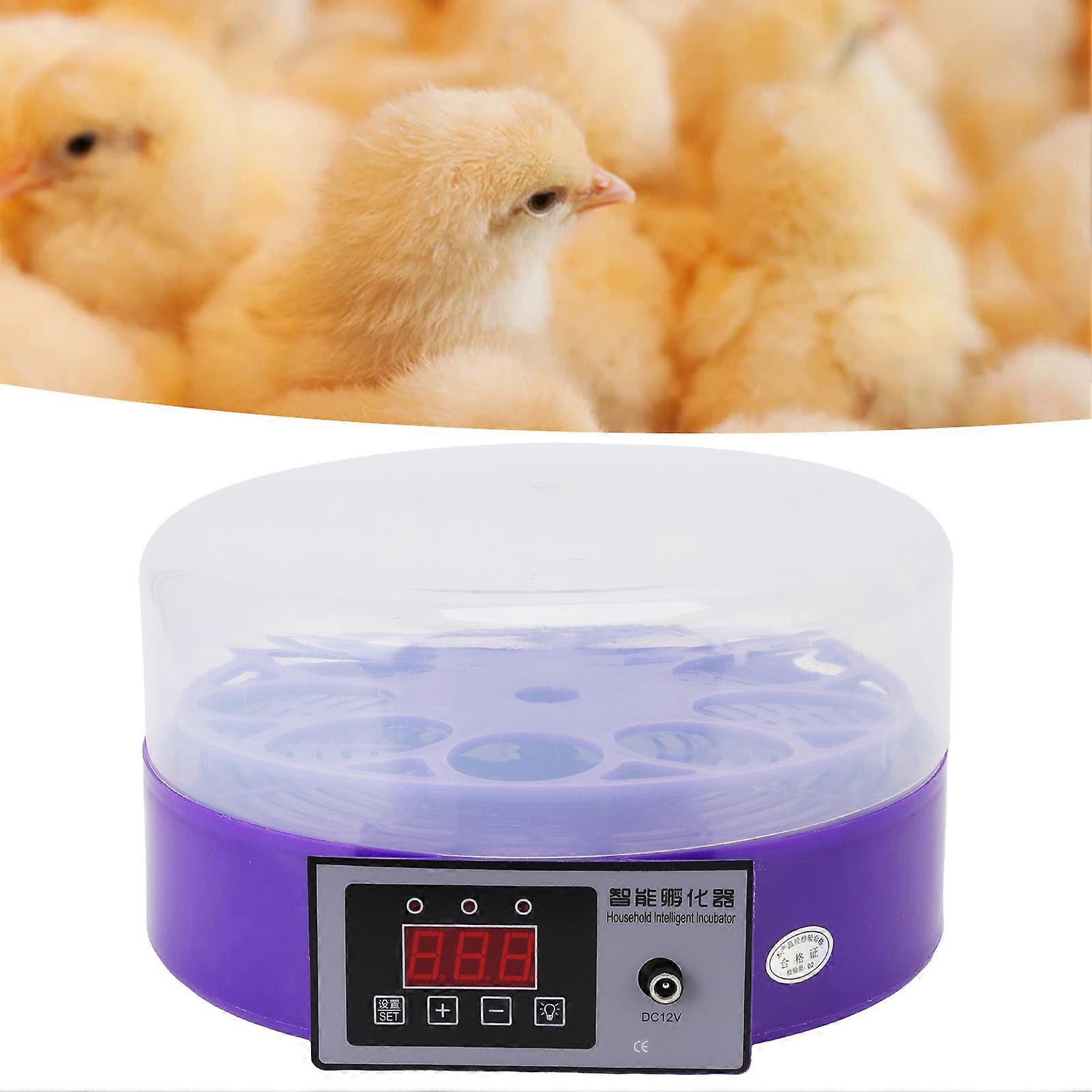 Smart Egg Incubator 9PCS Capacity 25.5x14cm Auto Temp Control