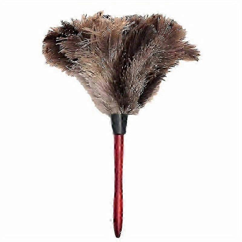 Ostrich duster for home maintenance - reusable feather cleaning brush