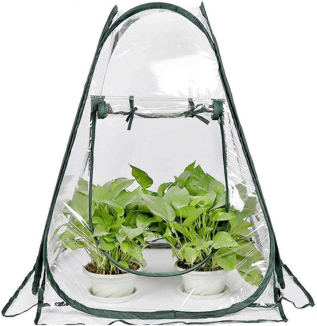 Mini Greenhouse with Transparent Window for Winter Plant Protection, Foldable PVC Pop Up Design