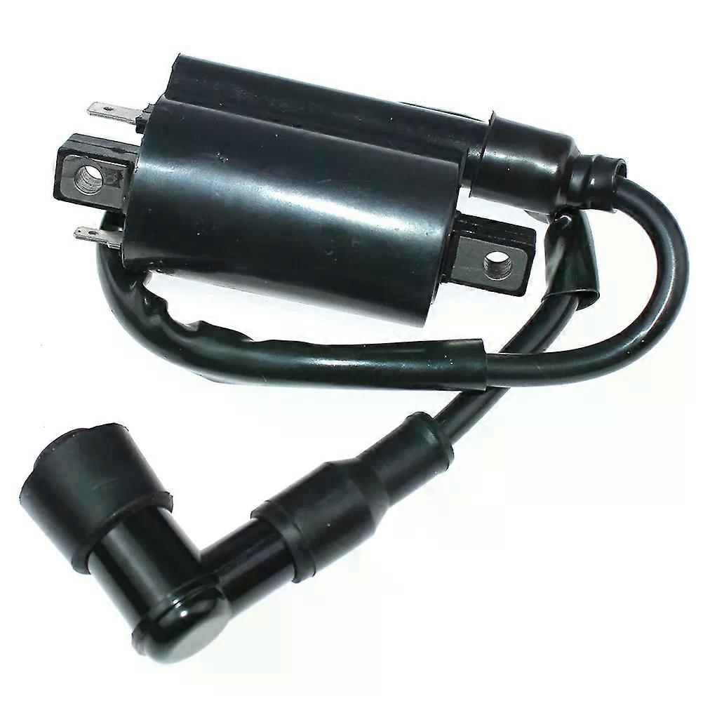 Ignition Coil Module For Briggs & Stratton 430447 433447 437447 580447 581447 583447 584447 587447 589447 820037
