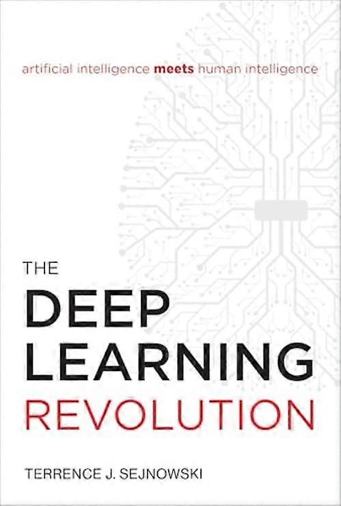 Deep Learning Revolution