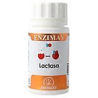 Holomega lactase 50 capsules