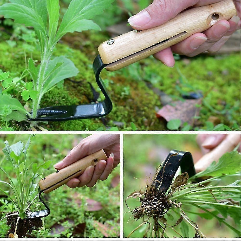 Root extraction tool stainless steel for efficient weed removal