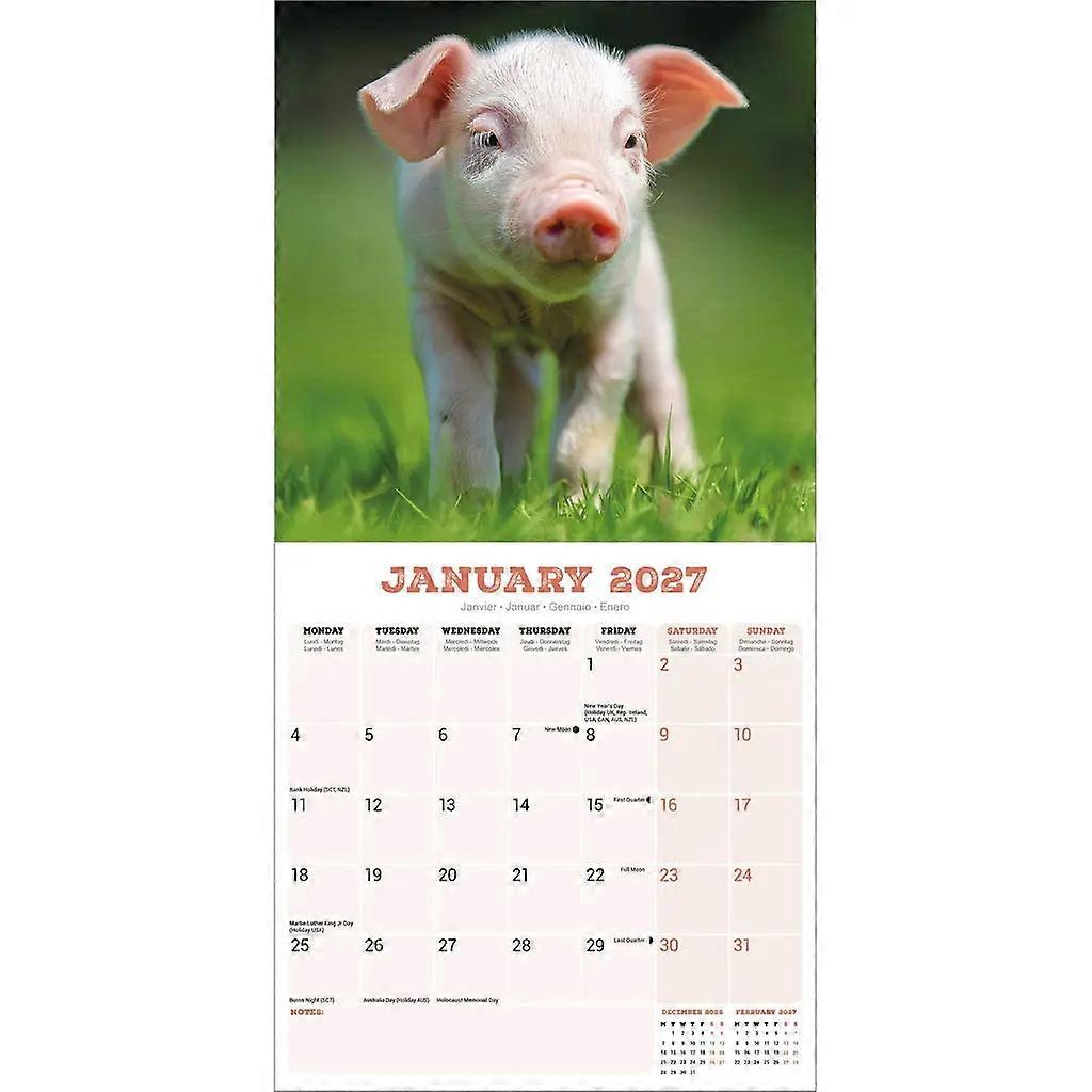 Avonside Grisekalender 2026