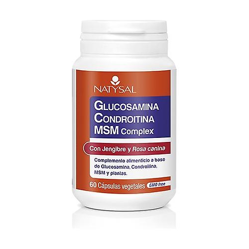Glucosamine Chondroitin Msm Complex 60 capsules