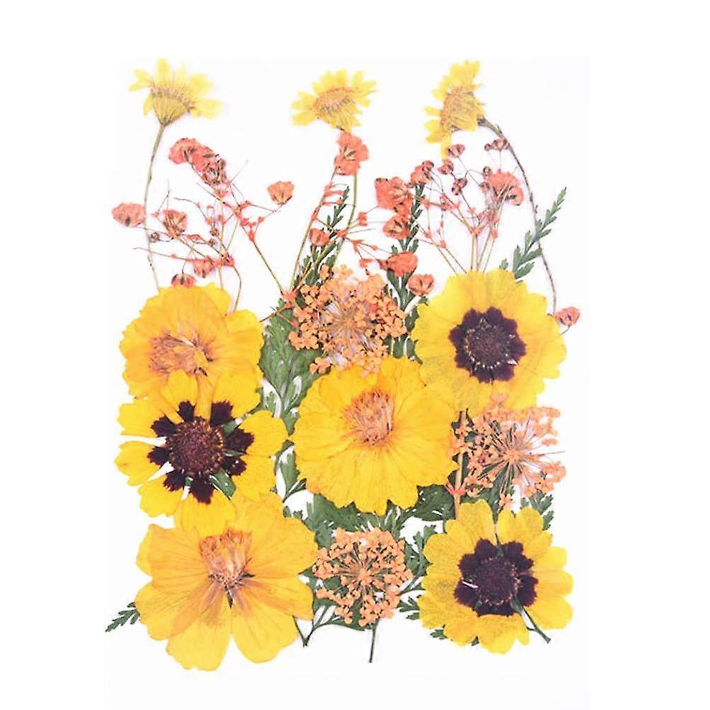 Läpinäkyvät kuivatut kukkakirjanmerkit Kotitekoiset kauniit kukkakirjanmerkit DIY kuivattu kukka kirjanmerkki Kukkasivun leikkeet kirjanmerkit