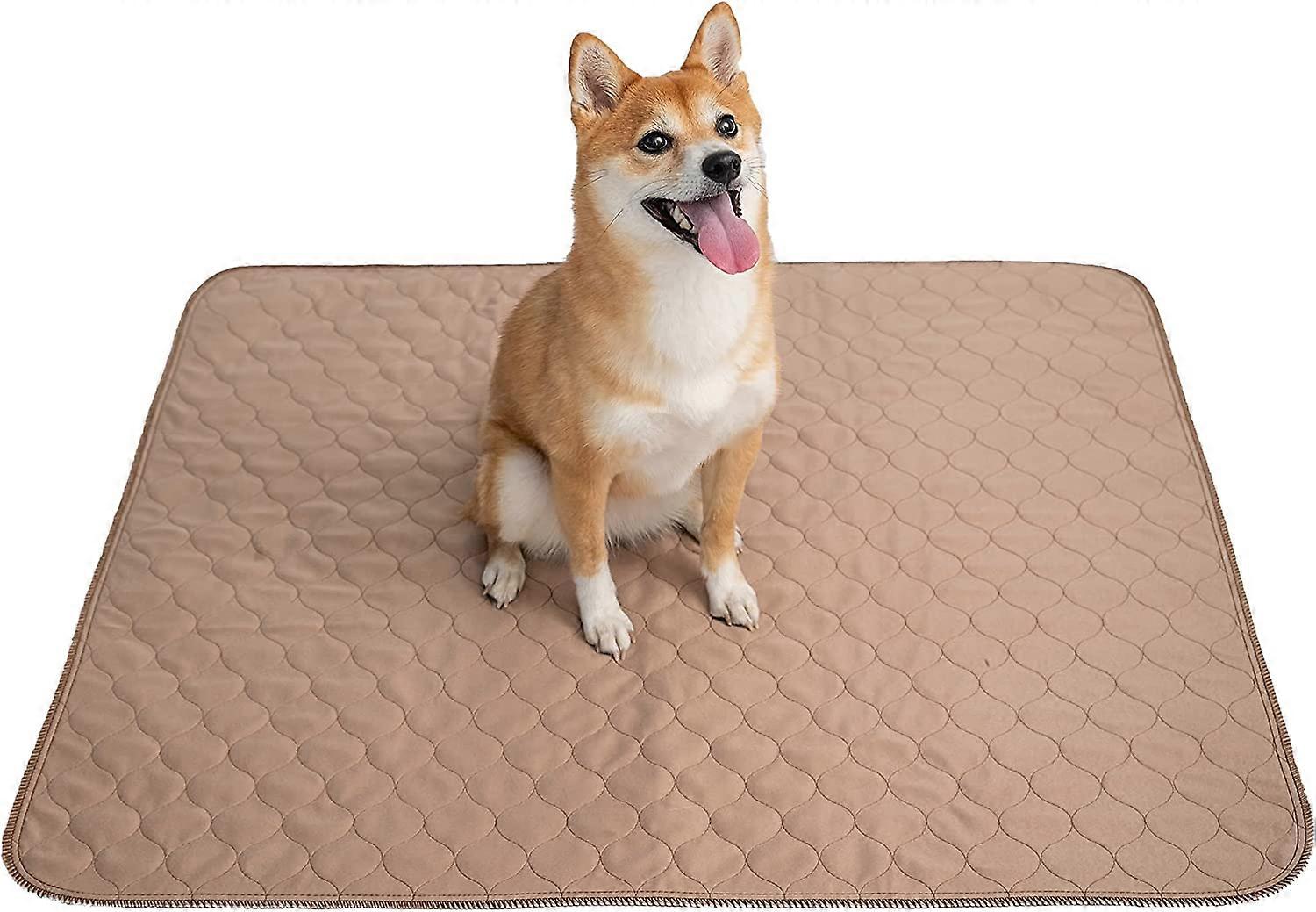 Dog Mat & Puppy Training