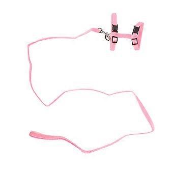 Cat Harness Set Adjustable Escape Proof Lightweight Kitten Chest Harness with Traction Rope for Walk