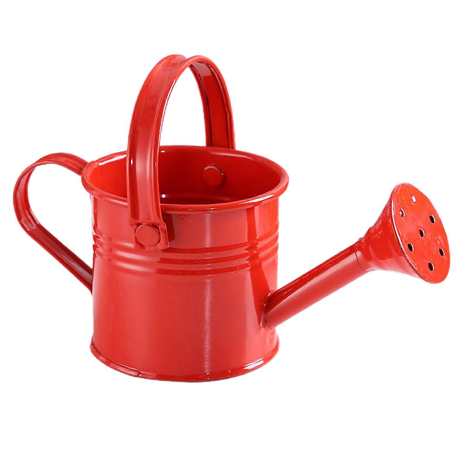 Arrosage en métal Douche Portable saupoudré de poignée en fer forgé Outils de jardinage Pulvérisation végétale
