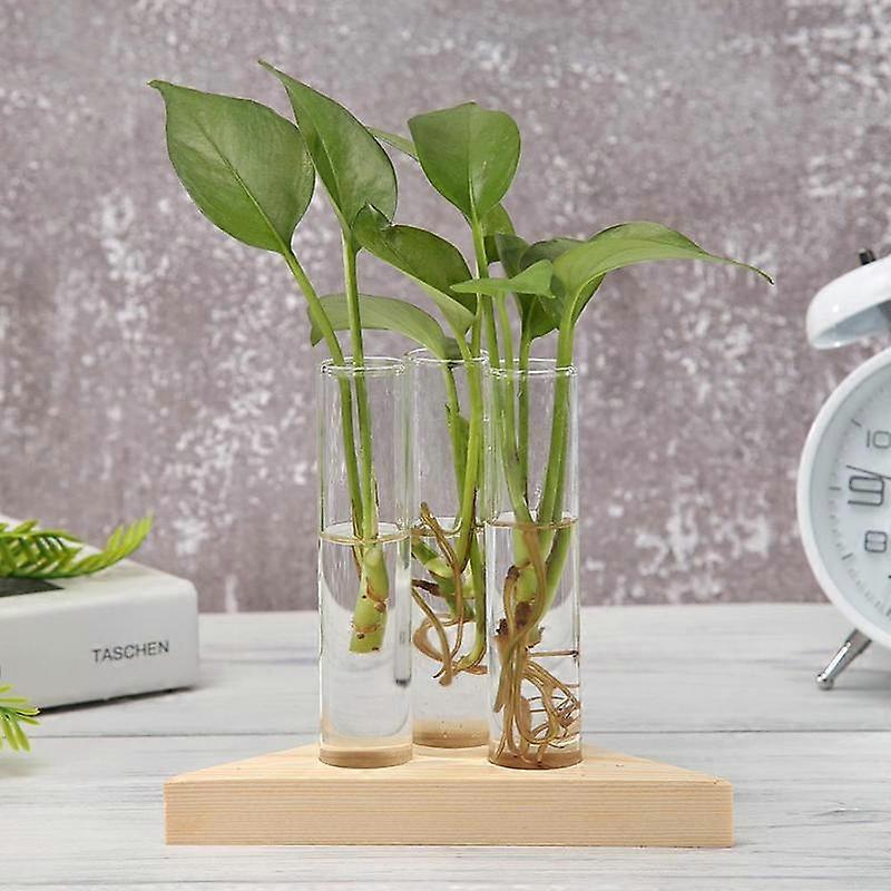 Transparent Glass Vase Wood Frame Iron Art Terrarium Bonsai Table Ornaments Glass and Wood Vase Planter Terrarium Table Desktop Pots & Planters