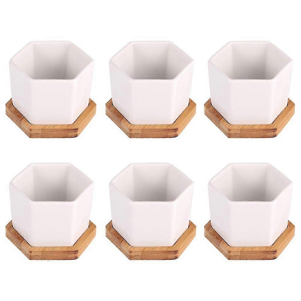 Simple White Creative Ceramic Small Hexagonal Plant Succulent