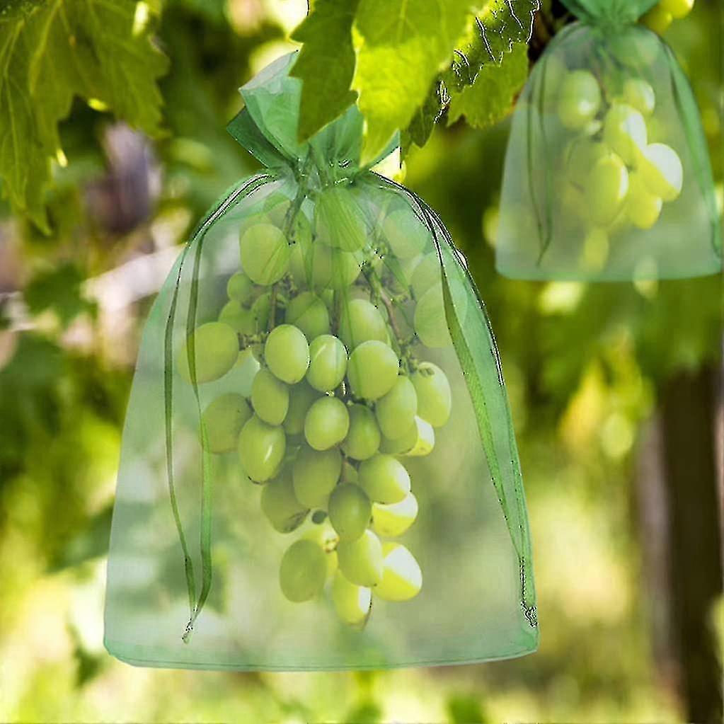 100pcs Bunch Protection Bag 30x20cm/10x15cm Grape Fruit Organza Bag With Drawstring Gives Total Protection