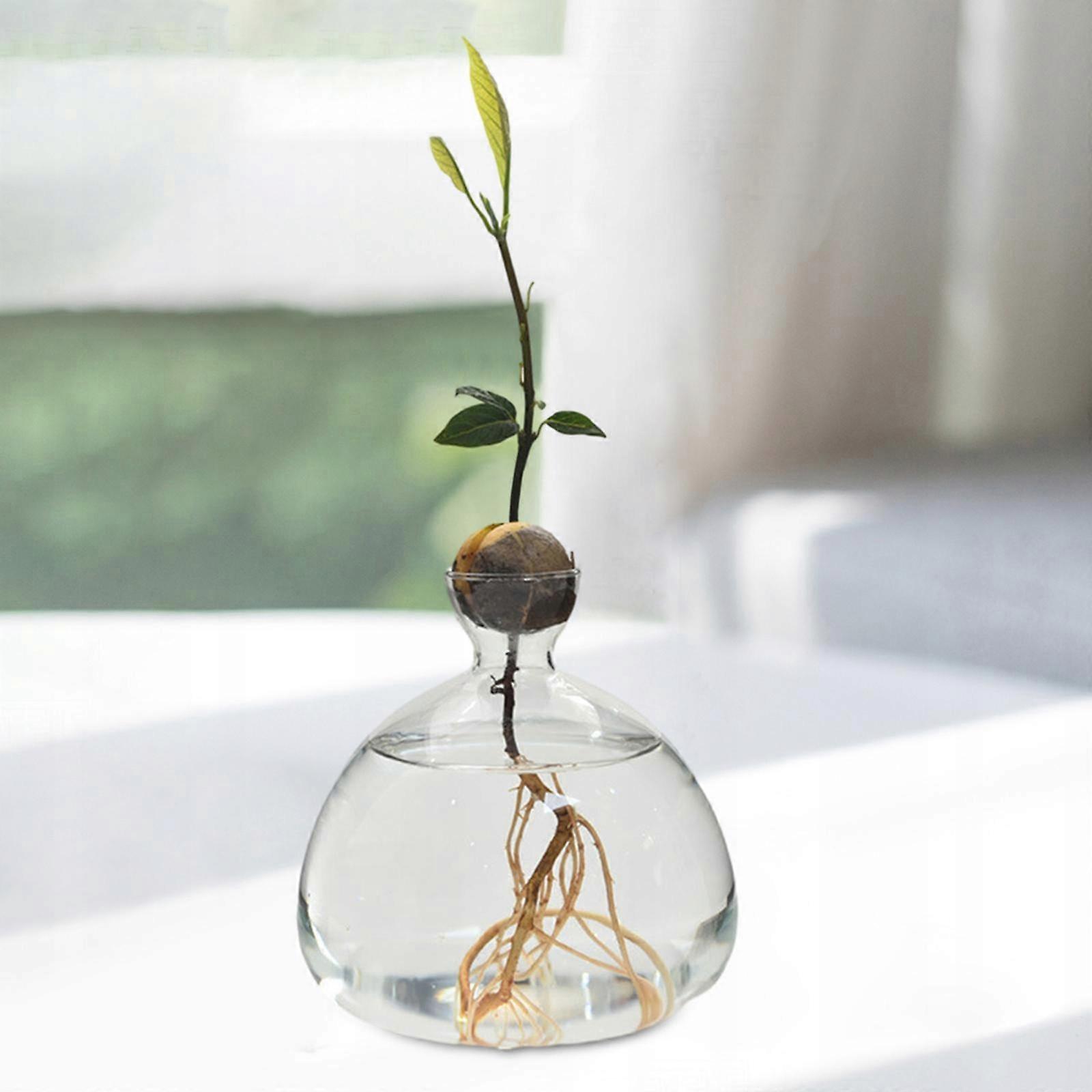 Vase Unbranded 1 L