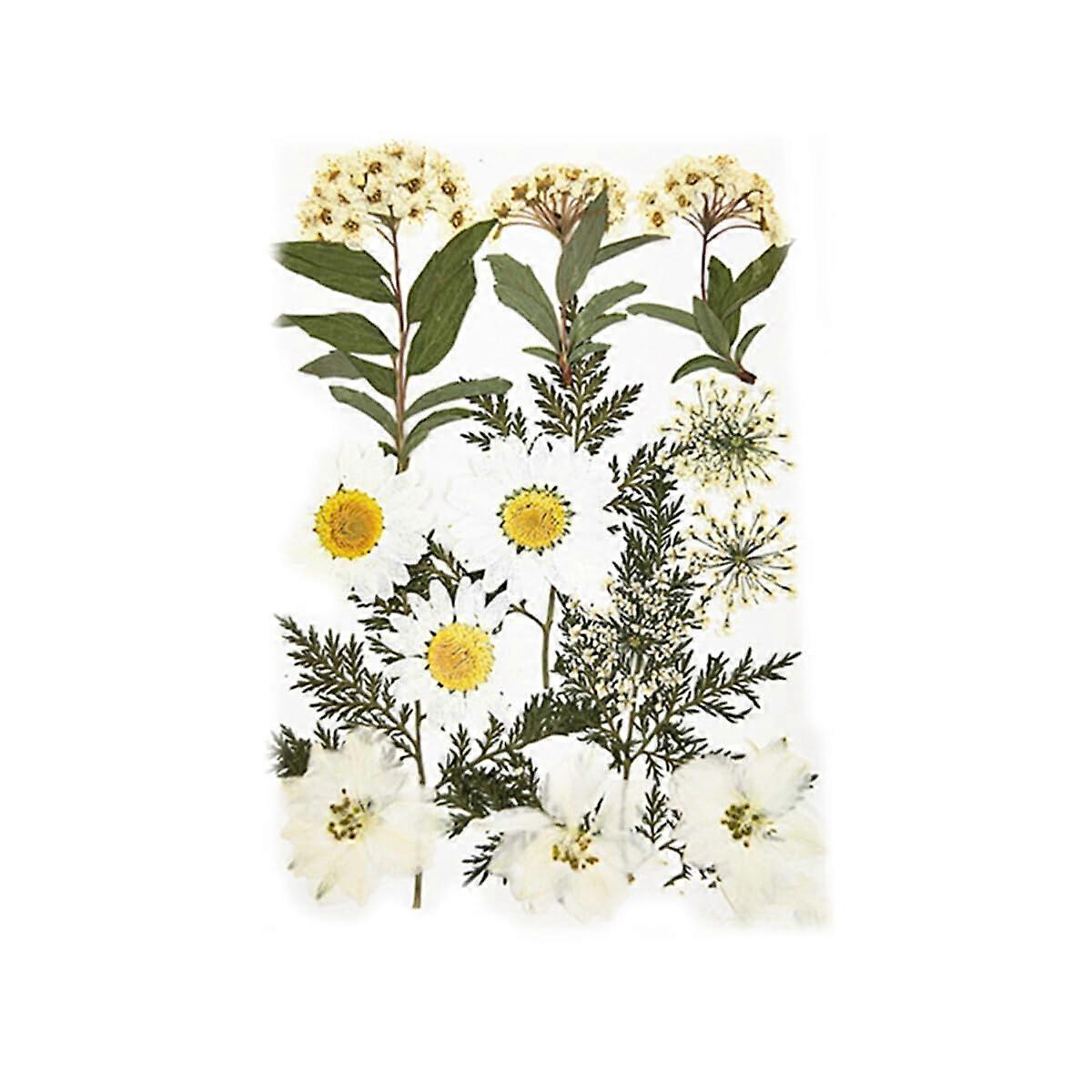Pressed Flowers, Embellishments, Type 2