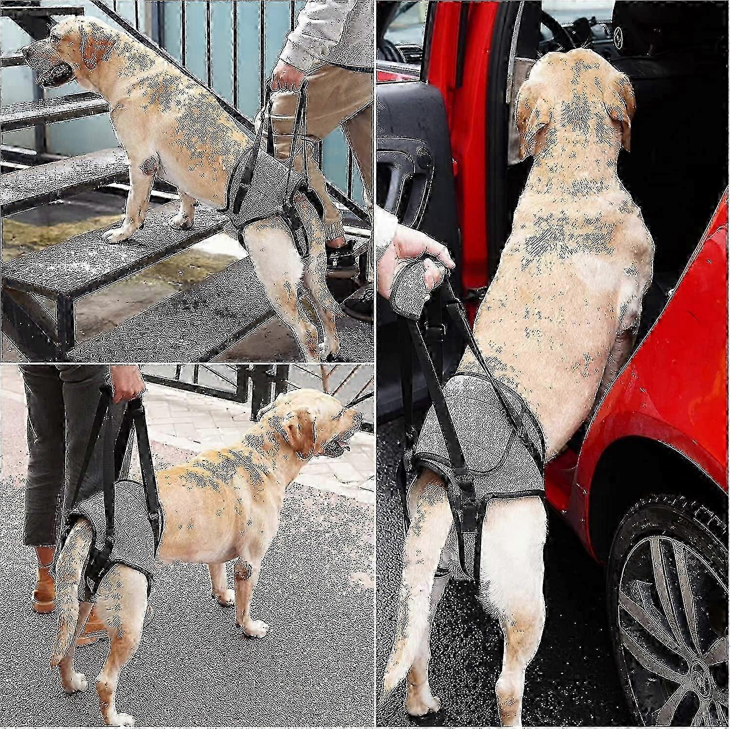 Dog Lifting Harness, Dog Support Harness For Back Legs, Soft Dog Support Sling For Injured Disabled Dogs