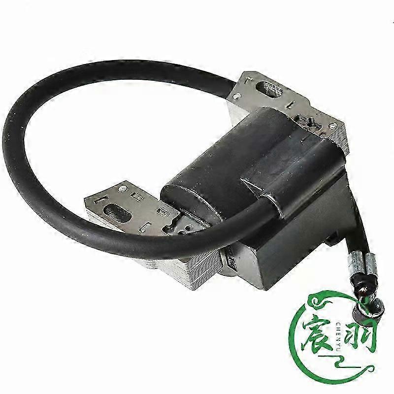 Briggs Stratton 591420 398593 496914 793281 792395 点火线圈 - D-Good