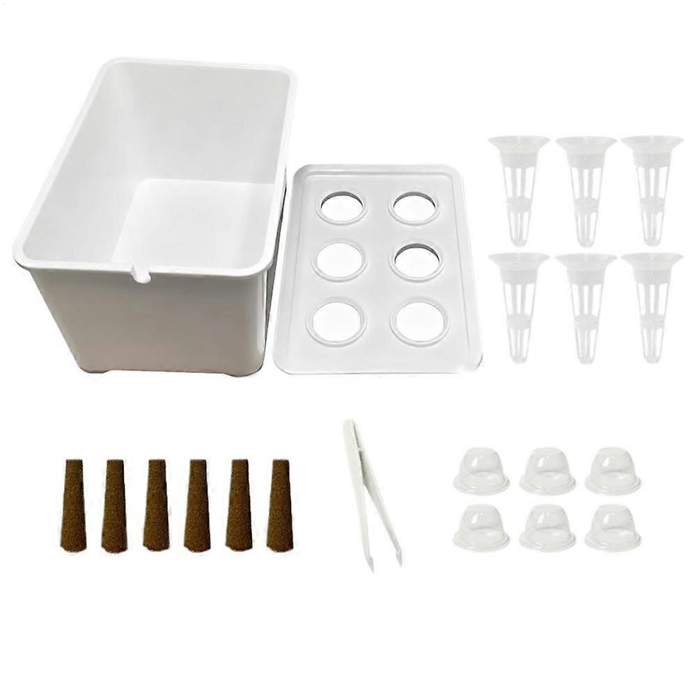 Hydroponic Planting Kit Complete Set Household Gardening Indoor Hydroponics Planting Seedling Kit for Lettuce Flowers B