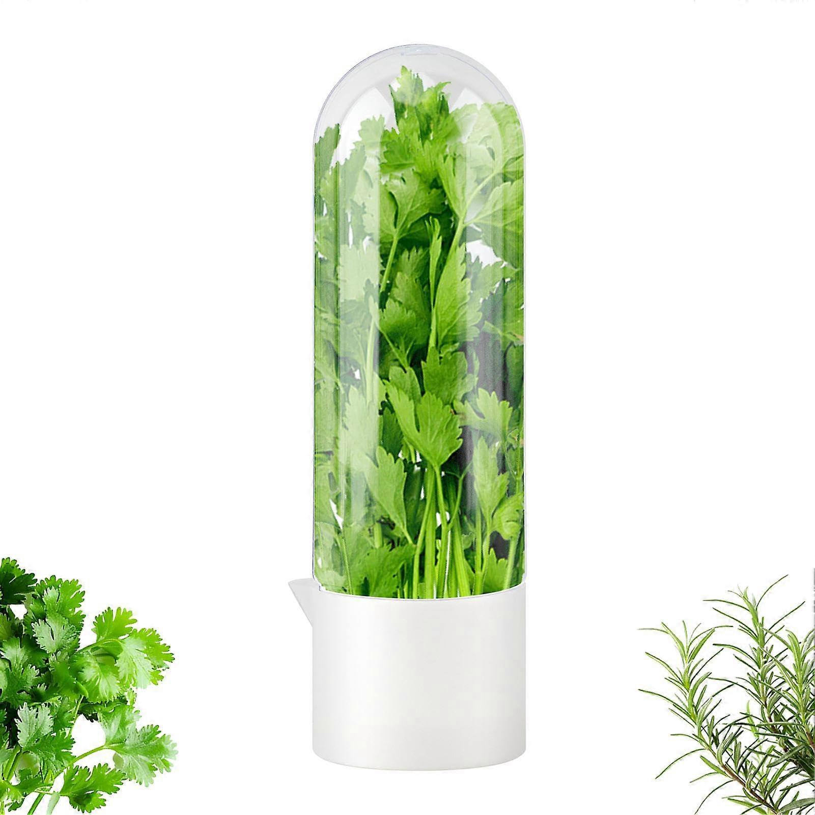 Herb Keeper and Storage Container Keeps Herbs Fresh 23 Weeks for Refrigerator, Large White 2