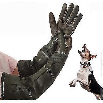Durable Anti-Bite Gloves for Pets - Cowhide Top Layer for Scratch & Bite Protection