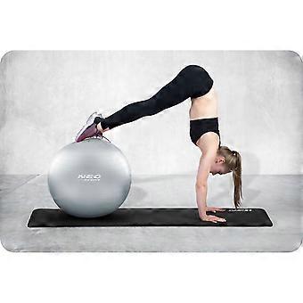 Training ball 75 cm NS-952 Silver