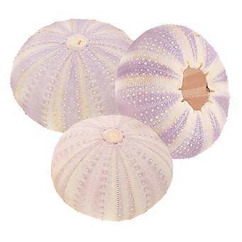 3 st Fish Tank Tillbehör Dekorationer Sea Urchin Shell Decoration Torkad Shell Ornament Sea Urchin Shell Beach
