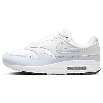 Nike Air Max 1 Cinza DZ2628-105