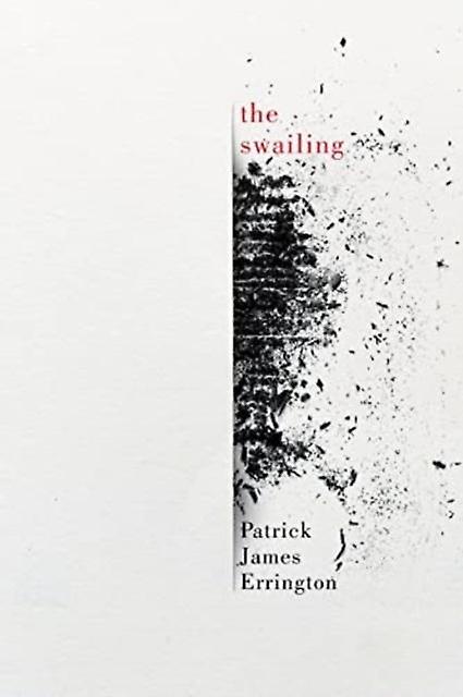 The Swailing by Patrick James Errington Paperback