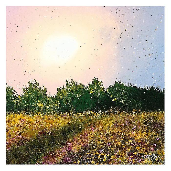 Siobhan McEvoy Wildflower Meadow Canvas Print