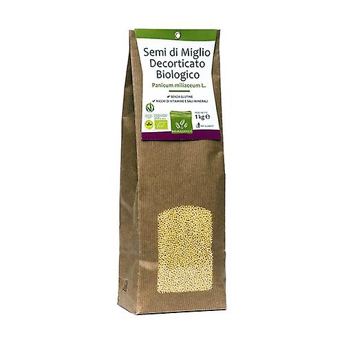 Organic Millet Seeds 1 kg