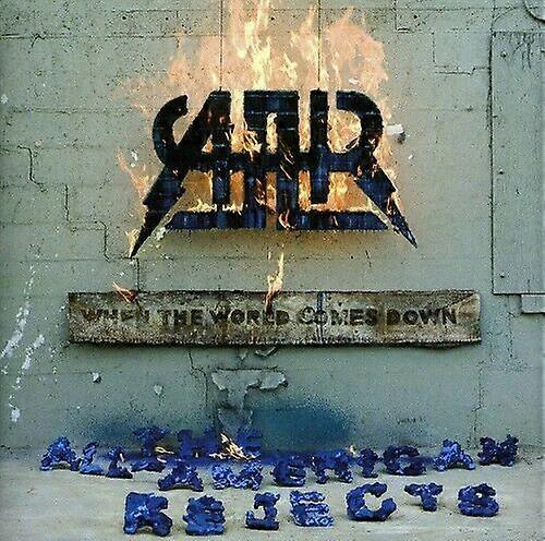 All-American Rejects When the World Comes Down (Dlx) CD