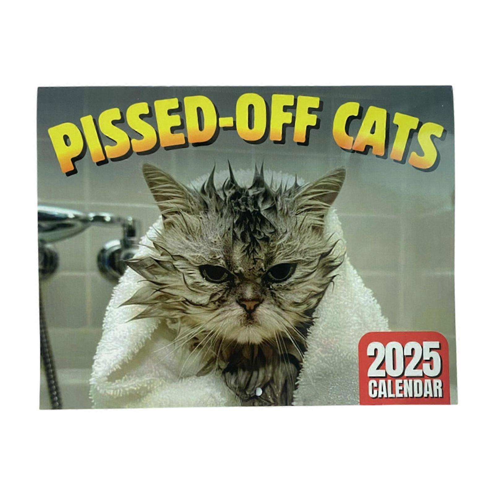 1pcs 2025 angry cat wall calendar