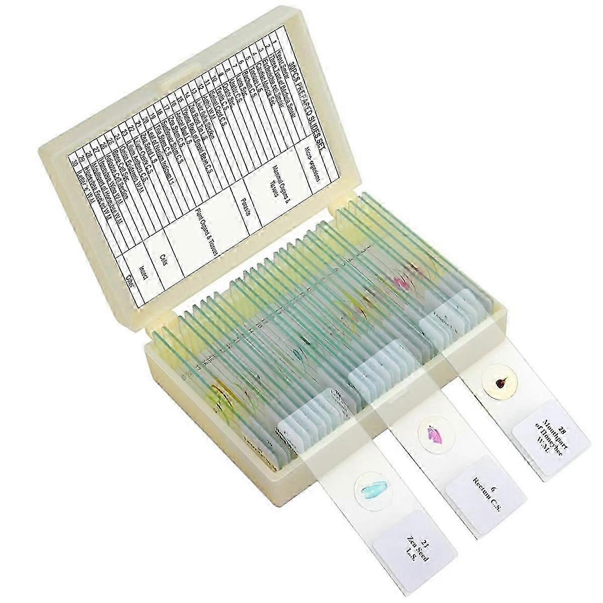 Children'S Microscope Slides, Glass Prep Slides for Microscope Accessories Suitable for All Types of MicroscopesNEW