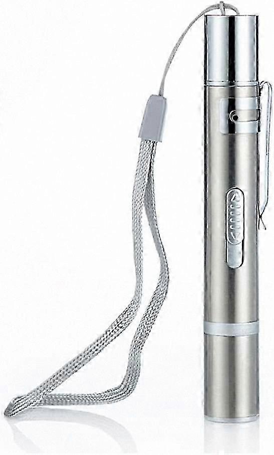 3-in-1 LED Pet Toy with Red and White Light Portable Handheld Torch for Interactive Fun and Play