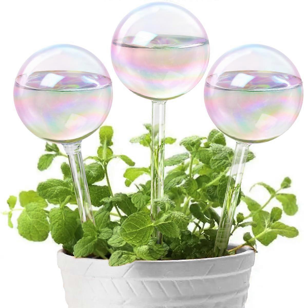 Glass Water Bulbs for Plants 3 Ball