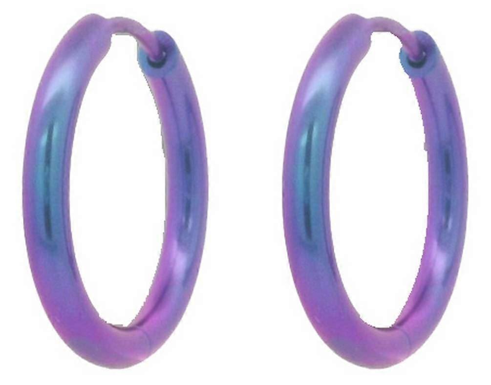 Ti2 Titanium Medium Round Hinged Hoop Earrings - Purple