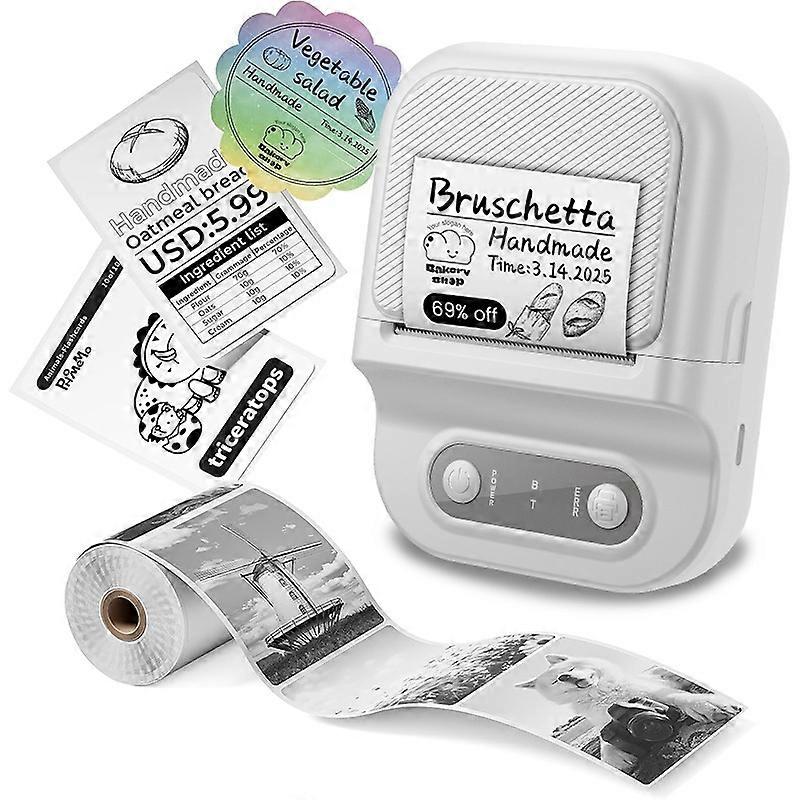 P2 Portable Handheld Thermal Label Printer for Product,Address,Barcodes Type-C 203DPI Label Maker