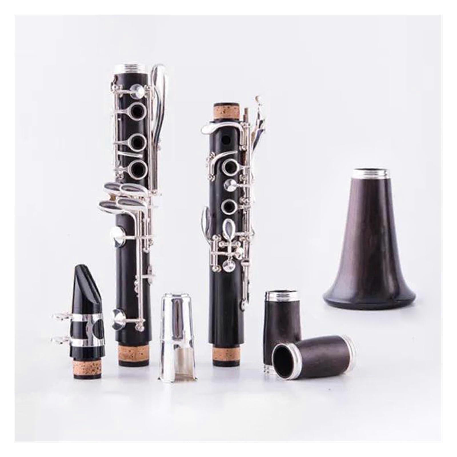 Professional Ebony Clarinet 17 Keys B Flat Set with Case, Dual Tunable Tubes and Responsive Tone
