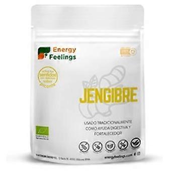 Ginger Powder 200 g of powder