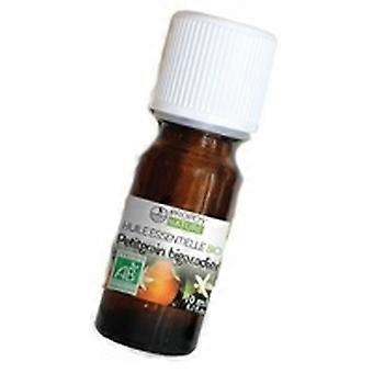 Petit Grain essential oil Bigaradier 10 ml of essential oil