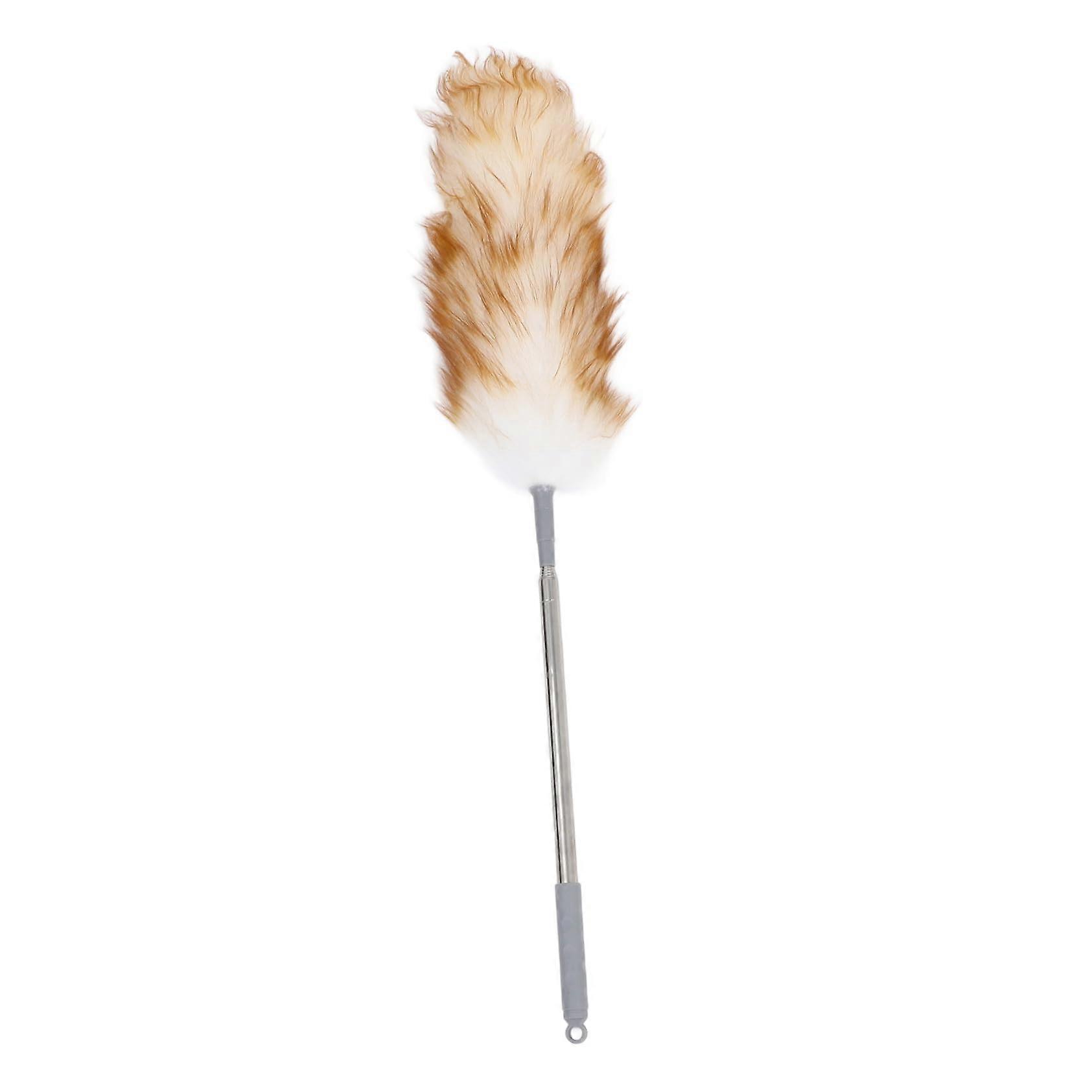 Extendable Duster with Washable Microfiber Head, Long Handle for  Ceilings and Ceiling Fans